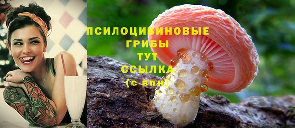 дживик Алзамай