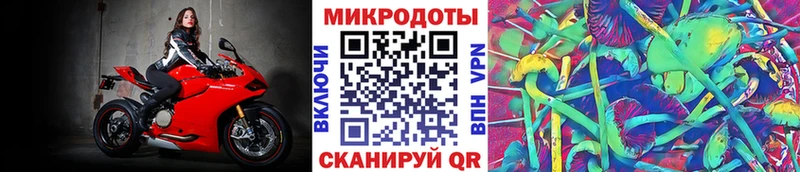 Псилоцибиновые грибы мицелий  Можга 